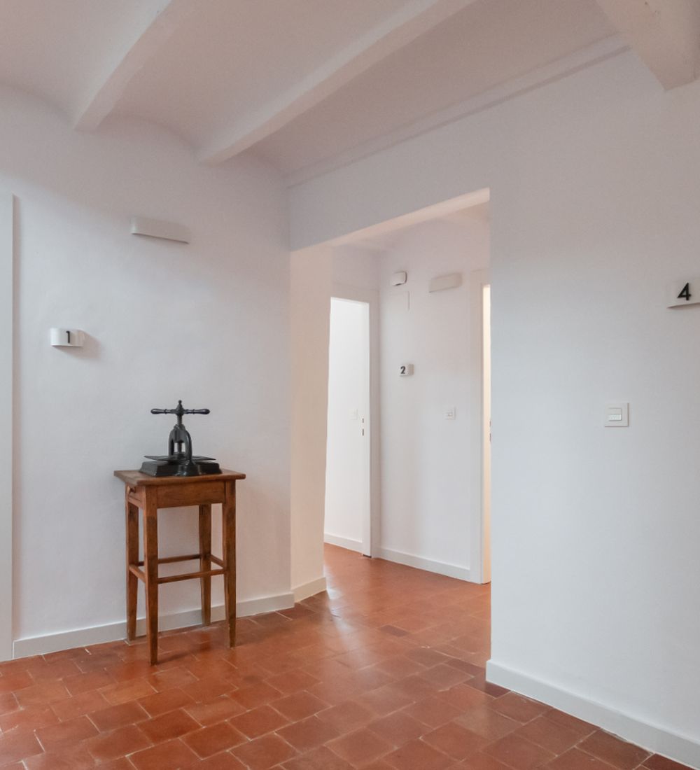 casas rurales con mascotas