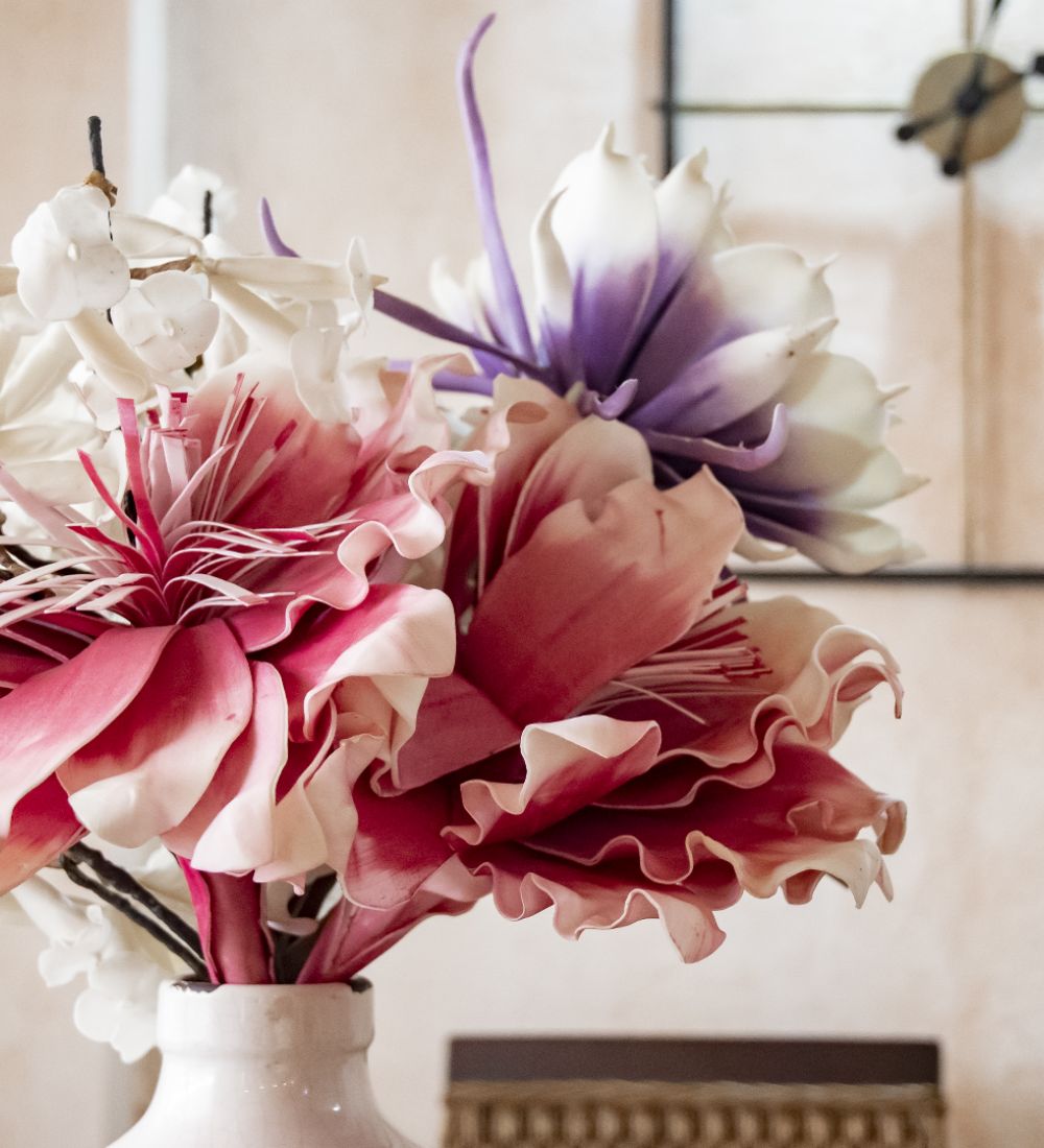 Albella alojamientos