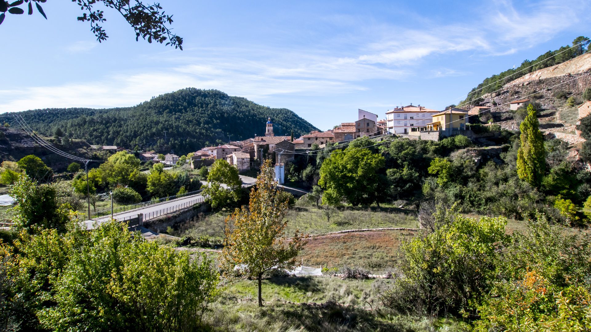 cabra de mora gudar javalambre